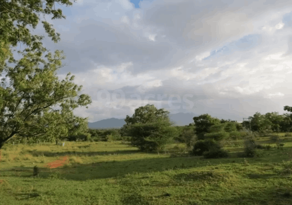 residential-land-plot-for-sale-in-green-home-western-welsh-thondamuthur-coimbatore