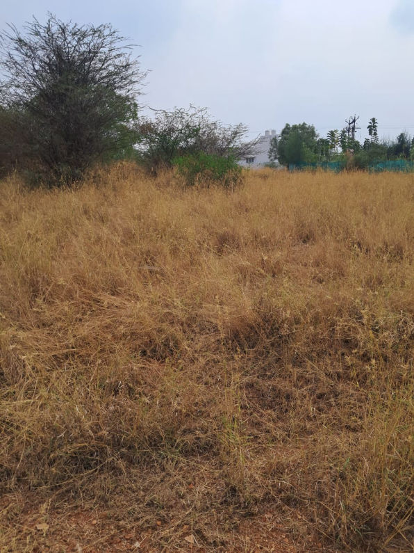 residential-land-plot-for-sale-in-green-home-western-welsh-thondamuthur-coimbatore