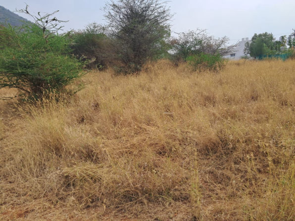 residential-land-plot-for-sale-in-green-home-western-welsh-thondamuthur-coimbatore