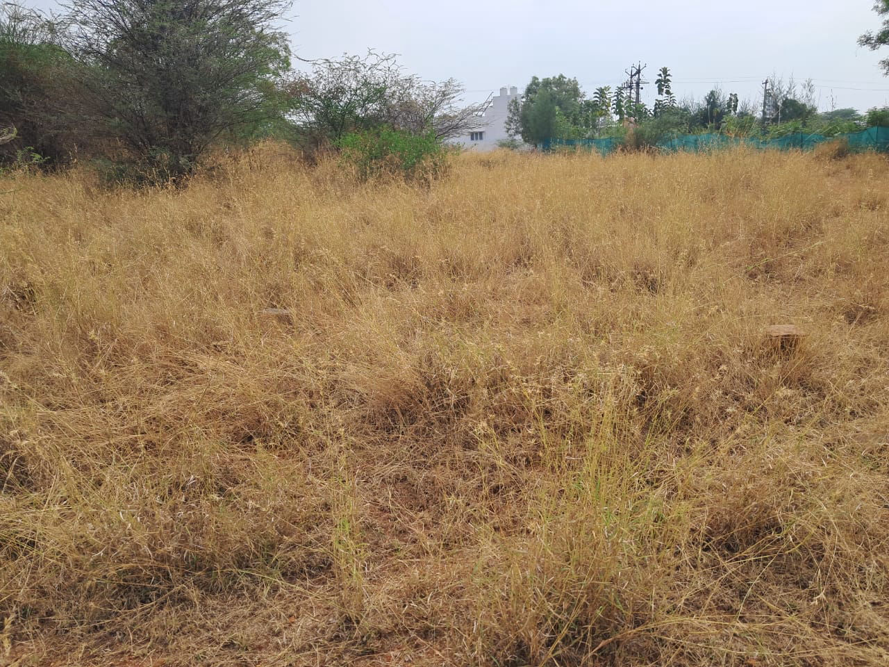 residential-land-plot-for-sale-in-green-home-western-welsh-thondamuthur-coimbatore